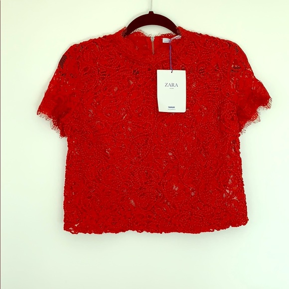 Top - Picture 1 of 1